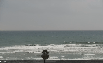 Cardiff State Beach | Encinitas, Ca