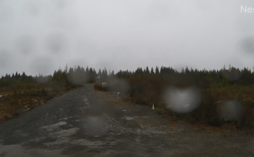 Saint Paul Island, Ak
