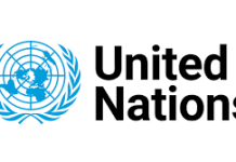 The United Nations Organization