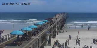 Jacksonville Beach Pier Live Hd Webcam | Florida