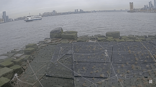 Hudson River Park Pier 26 Live Webcam – New York