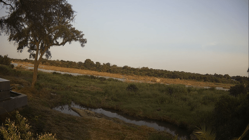 Live Webcam Kruger Gate Hotel