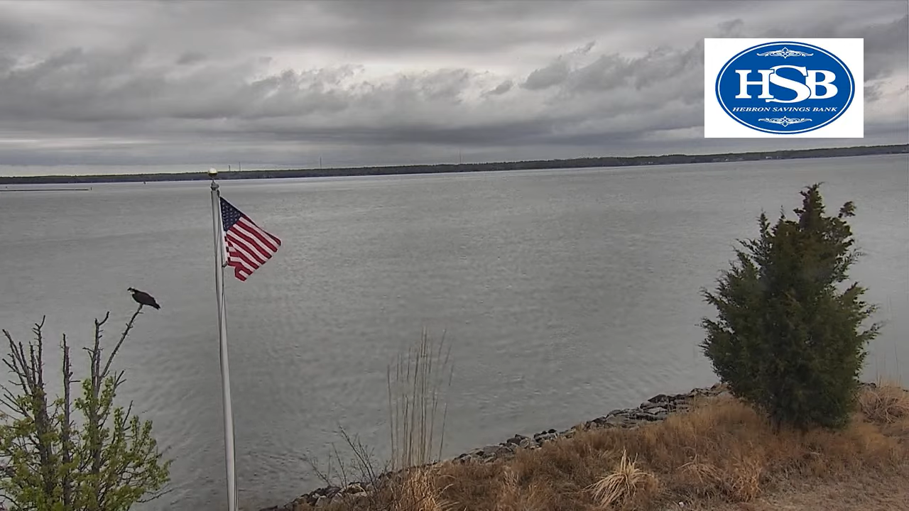 Live Webcam Hebron Savings Bank – Cambridge, Maryland