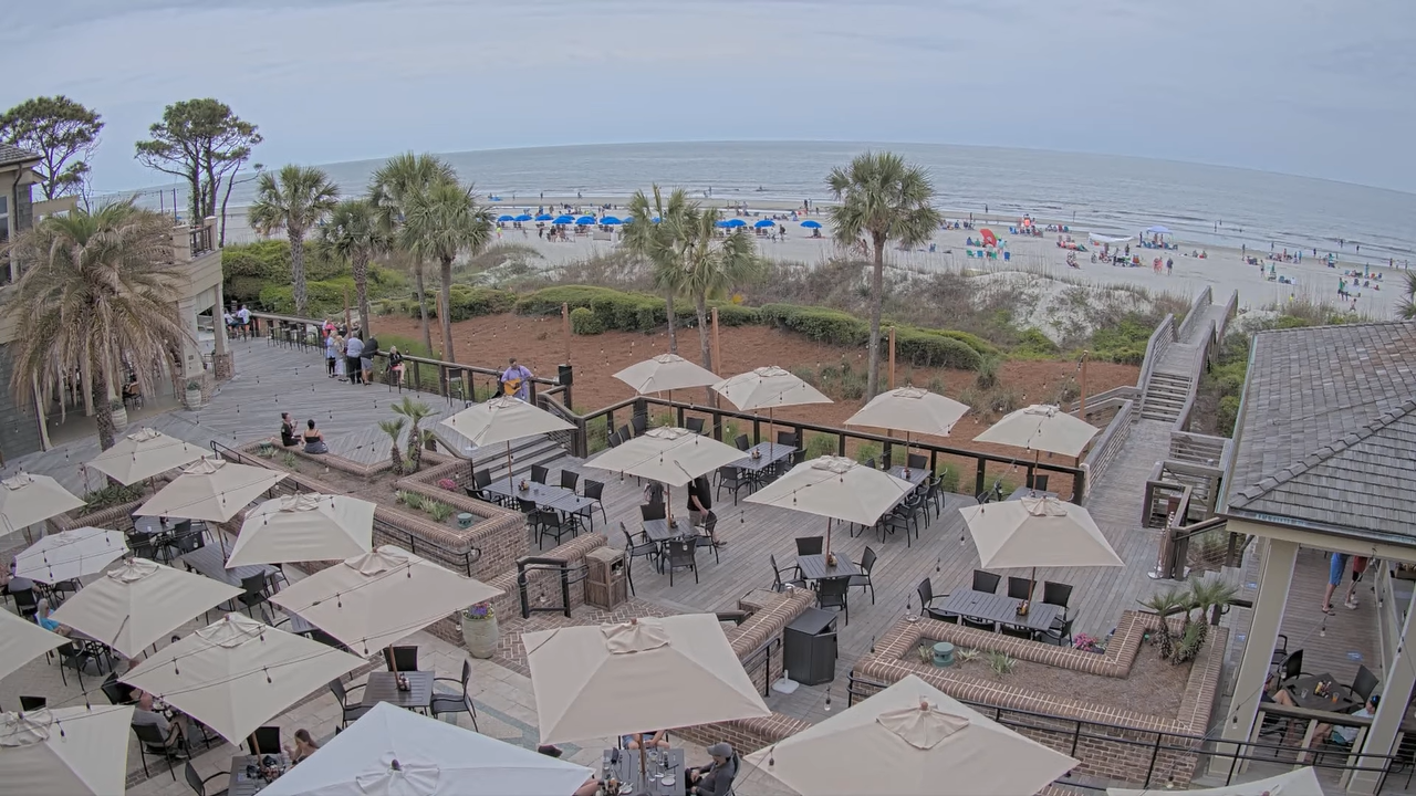 Hilton Head Sea Pines Resort – Live HD Video | South Carolina