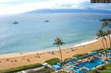 Cams to Cams | Stunning live Real Time Videos