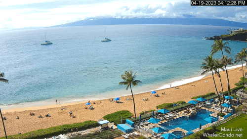 Real Life Cameras | New Terrific Webcams - Live Beach Cam