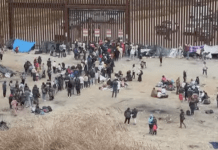Brownsville, Texas Migrants Livestream | Title 42 Expired