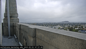 Berkeley Webcams
