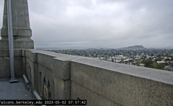 Berkeley Webcams