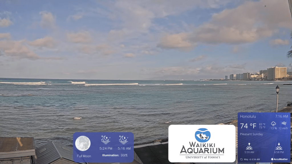 Honolulu & Oahu Live Webcams