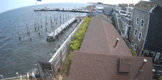 Fire Island Webcams | Ny