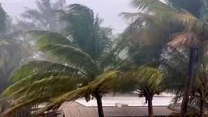 Typhoon Mawar Live Cam