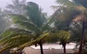 Typhoon Mawar Live Cam