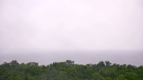 Big Bog State Park Webcam | Waskish, MN – Live HD Video