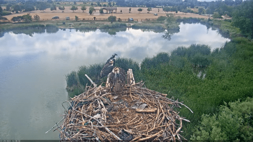 Boulder County Fairgrounds – Longmont, CO, USA