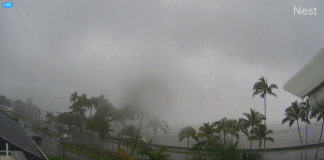 Hilo Webcam | Hawaii County | Bay