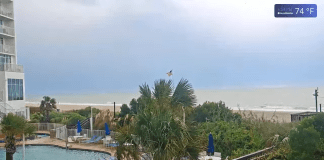 Apache Pier Webcam | Myrtle Beach