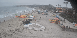 San Diego Beach Cams - America's Finest City Beaches