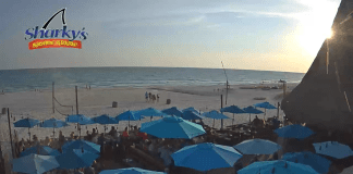 Sharky's Panama City Beach Webcam