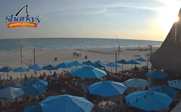 Sharky's Panama City Beach Webcam