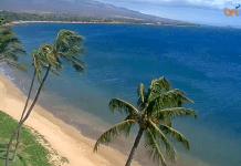 Sugar Beach Maui Webcam