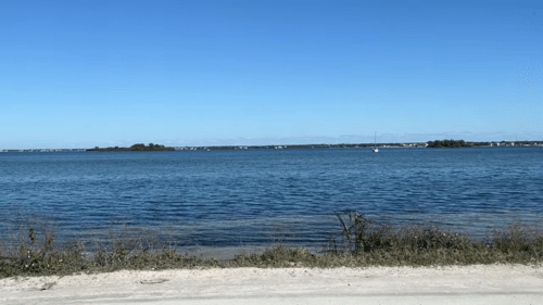 Palm Harbor Florida Webcam