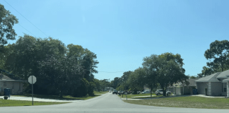 Spring Hill, Florida Webcam & Weather