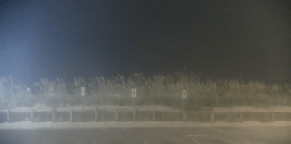 Avalon Pier Webcam | Kill Devil Hills