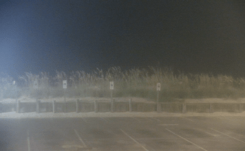 Avalon Pier Webcam | Kill Devil Hills