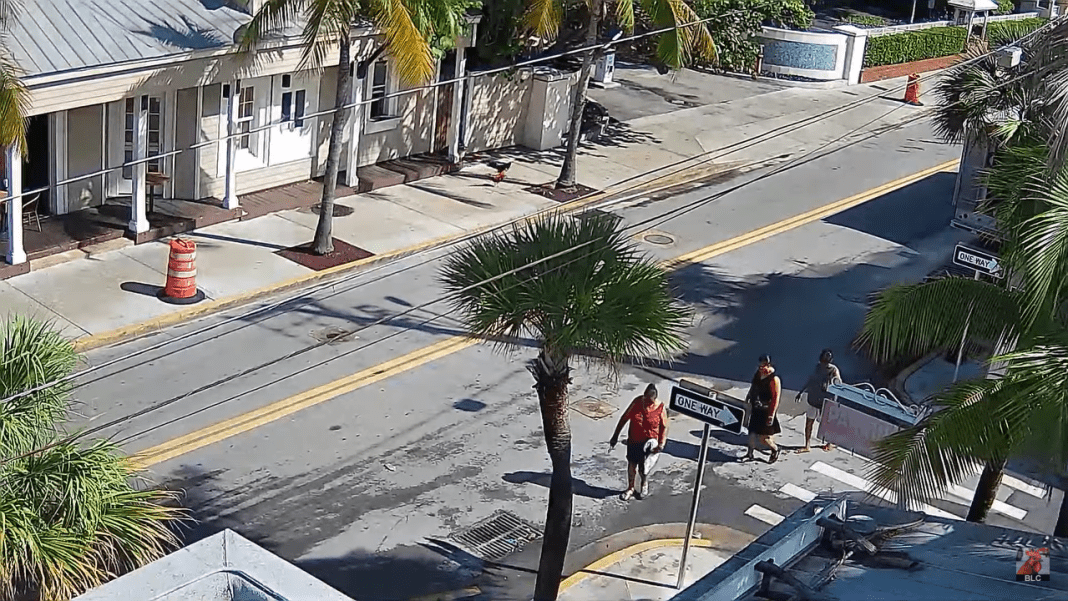 Two Friends Patio Live cam Key West, Florida