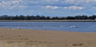Plum Island Beaches Ma