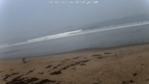 Scarborough Beach Webcam | Surf