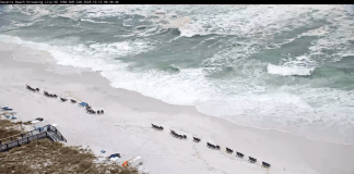 Navarre Beach Webcams