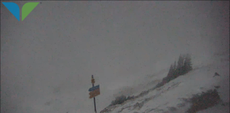 Snowbird Utah Webcam