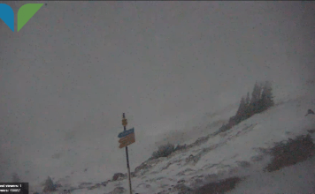 Snowbird Utah Webcam