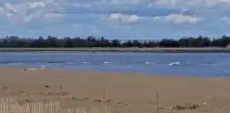 Plum Island Beaches Ma