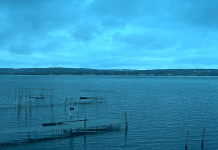 Mayville Chautauqua Lake Webcam | Ny