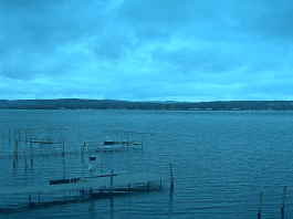 Mayville Chautauqua Lake Webcam | Ny