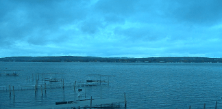 Mayville Chautauqua Lake Webcam | Ny