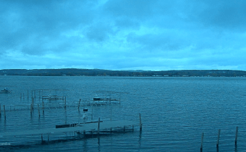 Mayville Chautauqua Lake Webcam | Ny