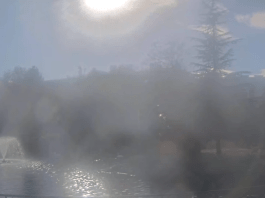 Manzanita Lake Webcam | Reno Nv