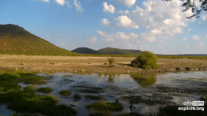 African Water Hole Webcam