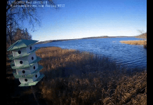 Lake Winnibigoshish Webcam | Deer Lake Mn