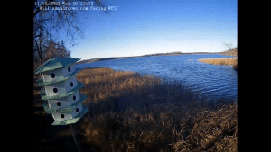 Lake Winnibigoshish Webcam | Deer Lake Mn
