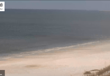 Mexico Beach Florida Webcam