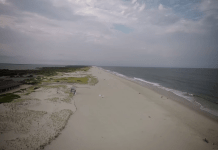 Island Beach State Park Webcam | Seaside Park | Nj