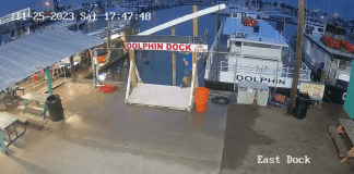 Dolphin Docks Port Aransas Webcam