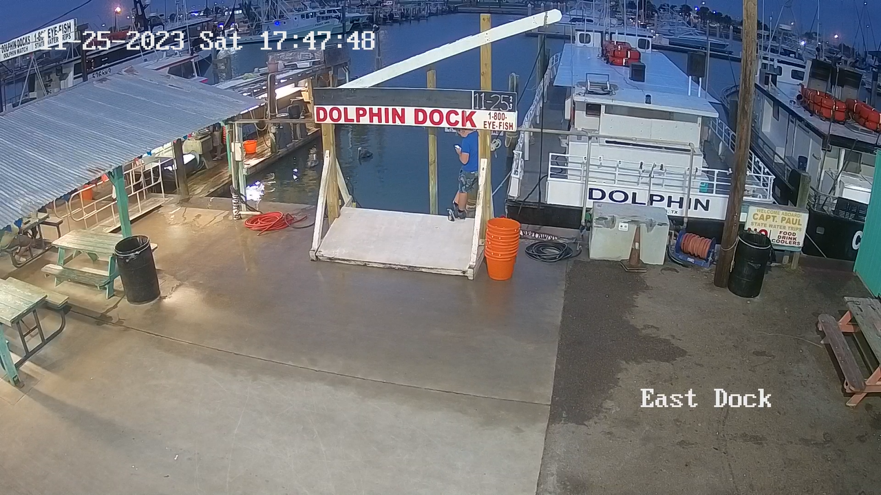 Dolphin Docks Webcam – Port Aransas, Texas