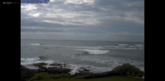 Kuhio Beach Webcam