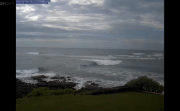 Kuhio Beach Webcam